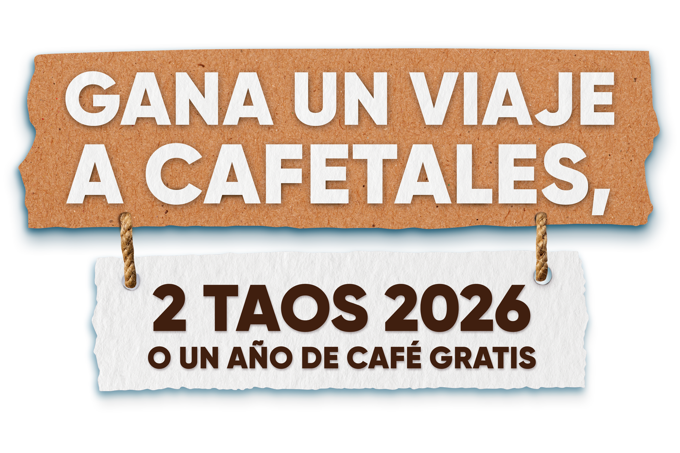 Gana un viaje a cafetales, 2 Volkswagen Taos 2026 o un año de café gratis