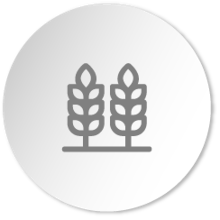 PRODUCTIVIDAD_FINCAS@2x