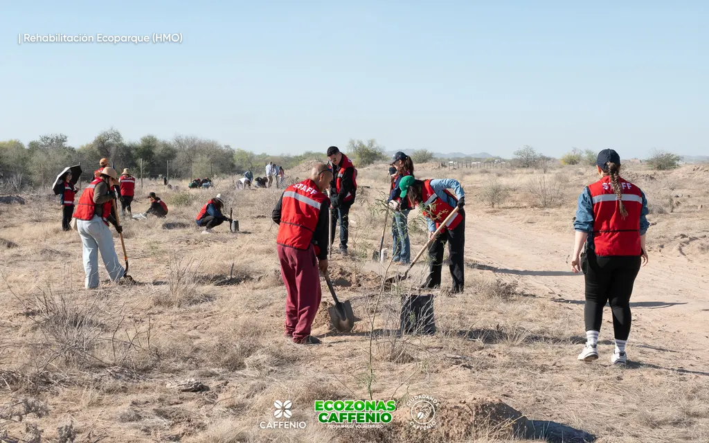 voluntariado-caffenio-reforestacion-ecoparque-hermosillo